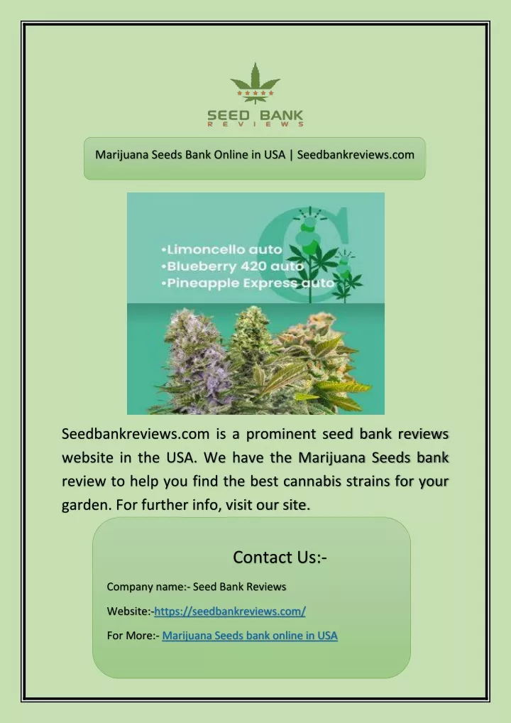 marijuana seeds bank online