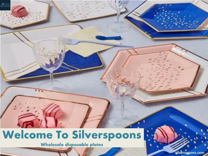 welcome to silverspoons wholesale disposable plates