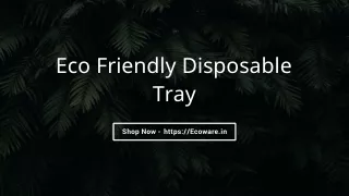 Eco Friendly Disposable Tray