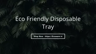 Eco Friendly Disposable Tray