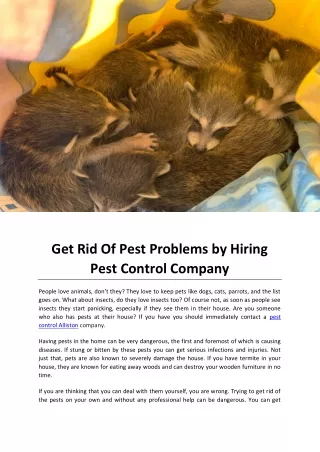 Get Rid Of Pest Problems by Hiring Pest Control Company