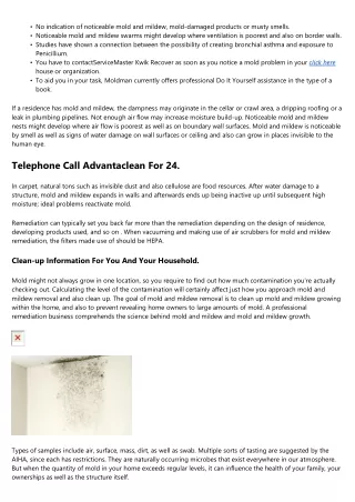 Mold Remediation Essentials, Procedure, And Feasible Scams