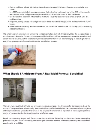 6 Steps Of Mold And Mildew Removal As Well As Remediation