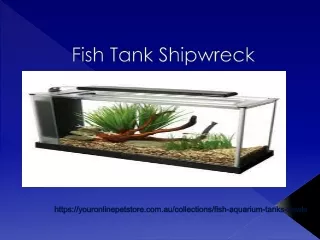 fish tank shipwreck