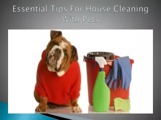 Essential Tips For House Cleaning With Pets