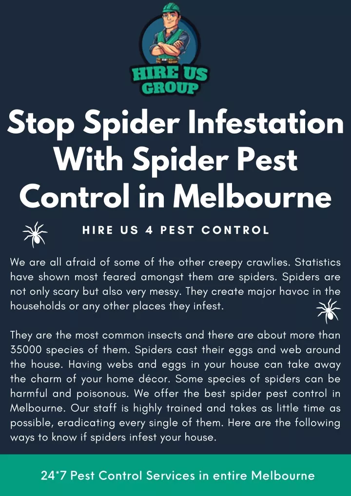 stop spider infestation with spider pest control