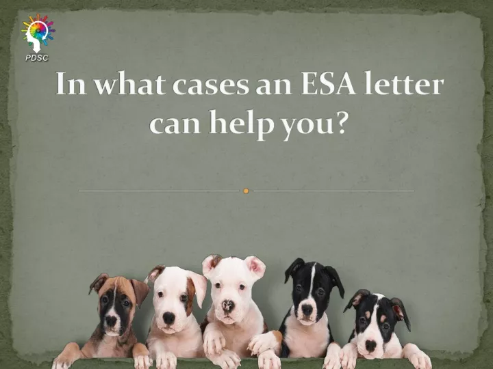 in what cases an esa letter can help you