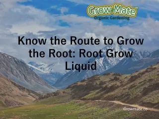 know the route to grow the root root grow liquid