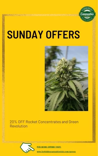 Sunday Offers, Cannabis Dispensary Near Me in Carson WA - Forbidden Cannabis Club Carson