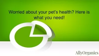 Worried about your pet’s health? Here is what you need!