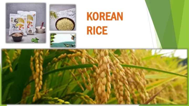 korean korean rice rice