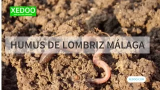 Humus De Lombriz Málaga