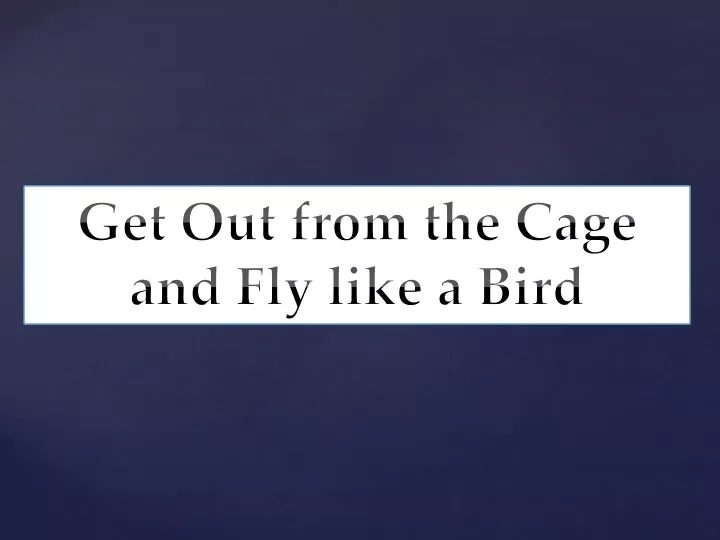 get out from the cage and fly like a bird