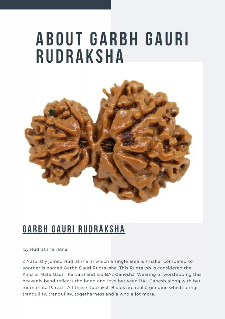 about garbh gauri rudraksha