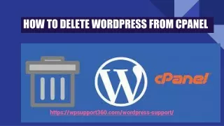 wordpress support