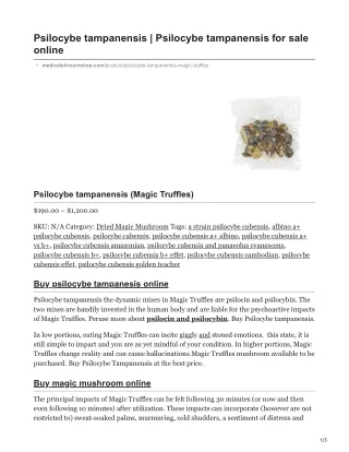 psilocybe tampanensis psilocybe tampanensis