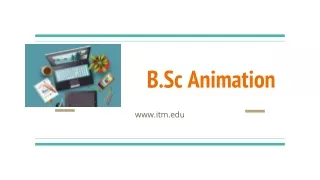 b sc animation