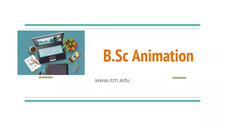 b sc animation