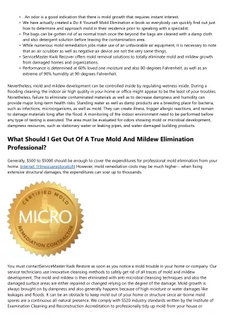 What Is Remediation? Mold And Mildew Removal Vs Removal