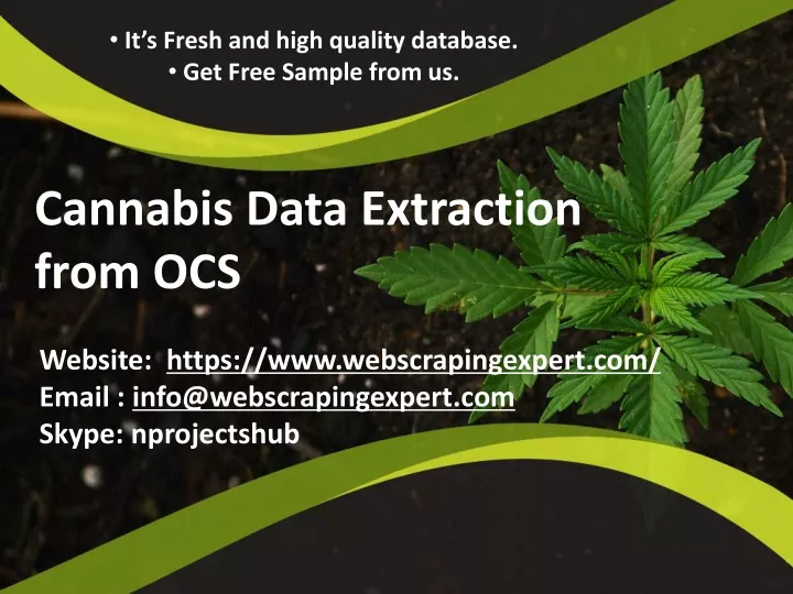 cannabis data extraction from ocs
