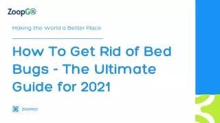 How To Get Rid of Bed Bugs - The Ultimate Guide for 2021