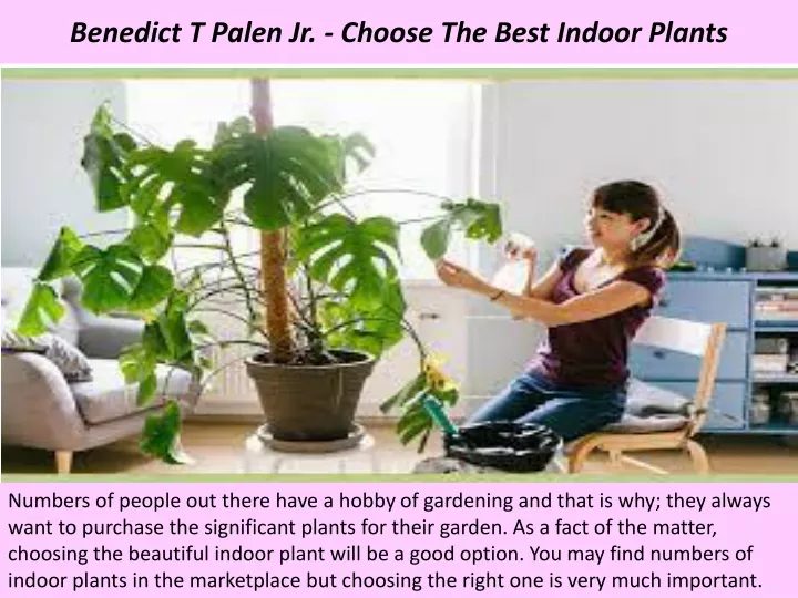 benedict t palen jr choose the best indoor plants