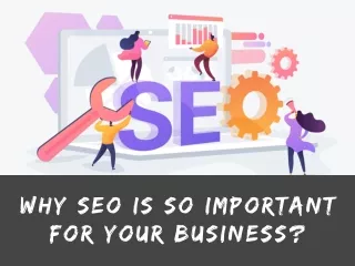 Why SEO is so Important for Your Business