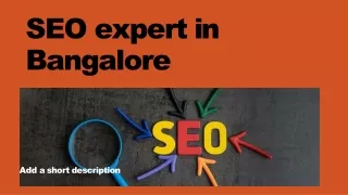 SEO expert in bangalore-converted