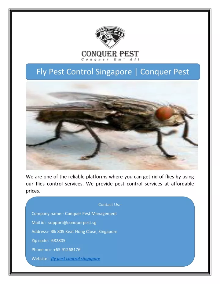 fly pest control singapore conquer pest