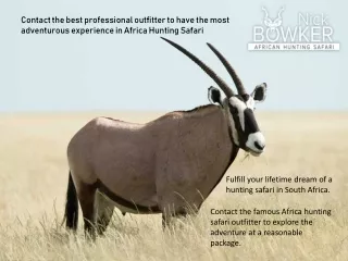 Contact the best professional outfitter to have the most adventurous experience in Africa Hunting Safari