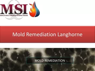 mold remediation langhorne