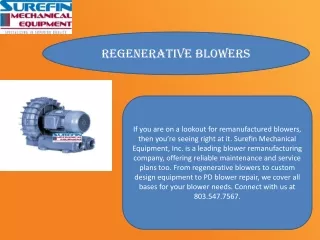 Regenerative Blowers