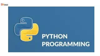 Python Course For High School Students