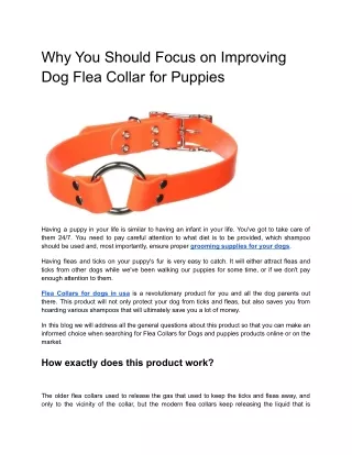 Why You Should Focus on Improving Dog Flea Collar for Puppies