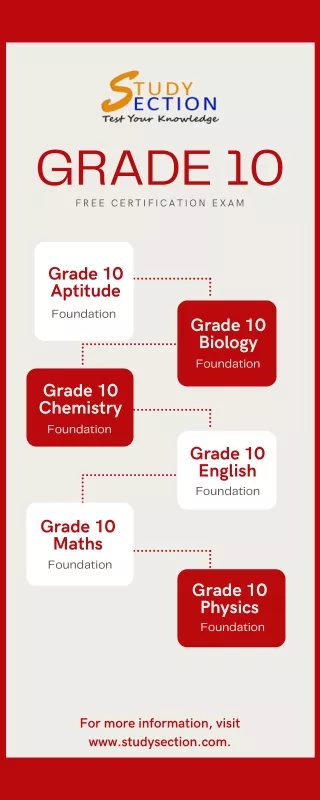 grade 10 free certification exam