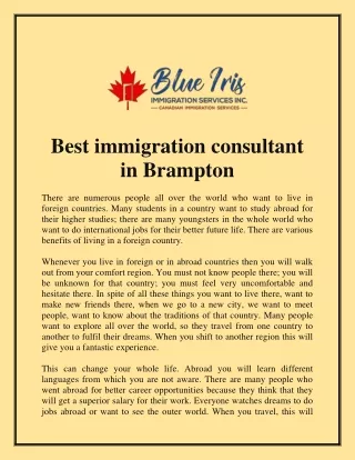 Best immigration consultant in  Brampton