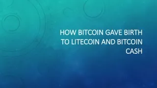 how bitcoin gave birth to litecoin and bitcoin cash