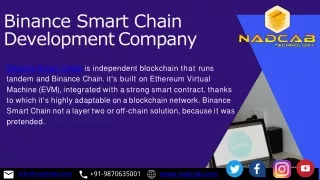 Binance Smart Chain Development Company-converted