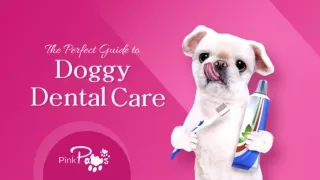 The Perfect Guide to Doggy Dental Care