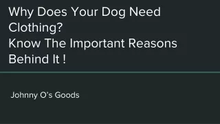 Why Does Your Dog Need Clothing? Know The Important Reasons Behind It