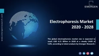 Electrophoresis Market Demand, Growth, Trend, Business Opportunities.