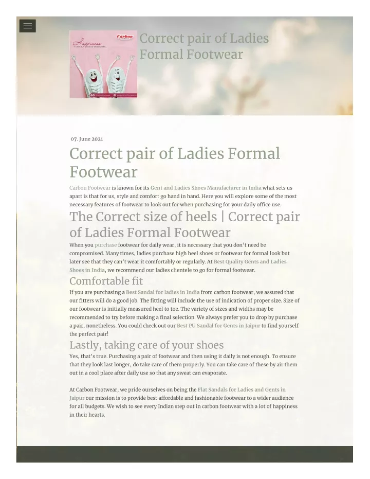 correct pair of ladies formal footwear