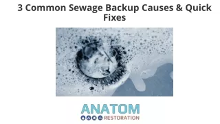 3 Common Sewer Backup Causes & Quick Fixes