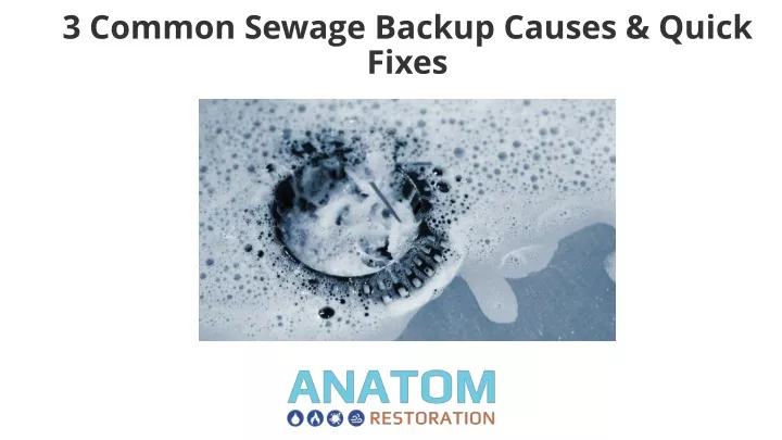 3 common sewage backup causes quick fixes