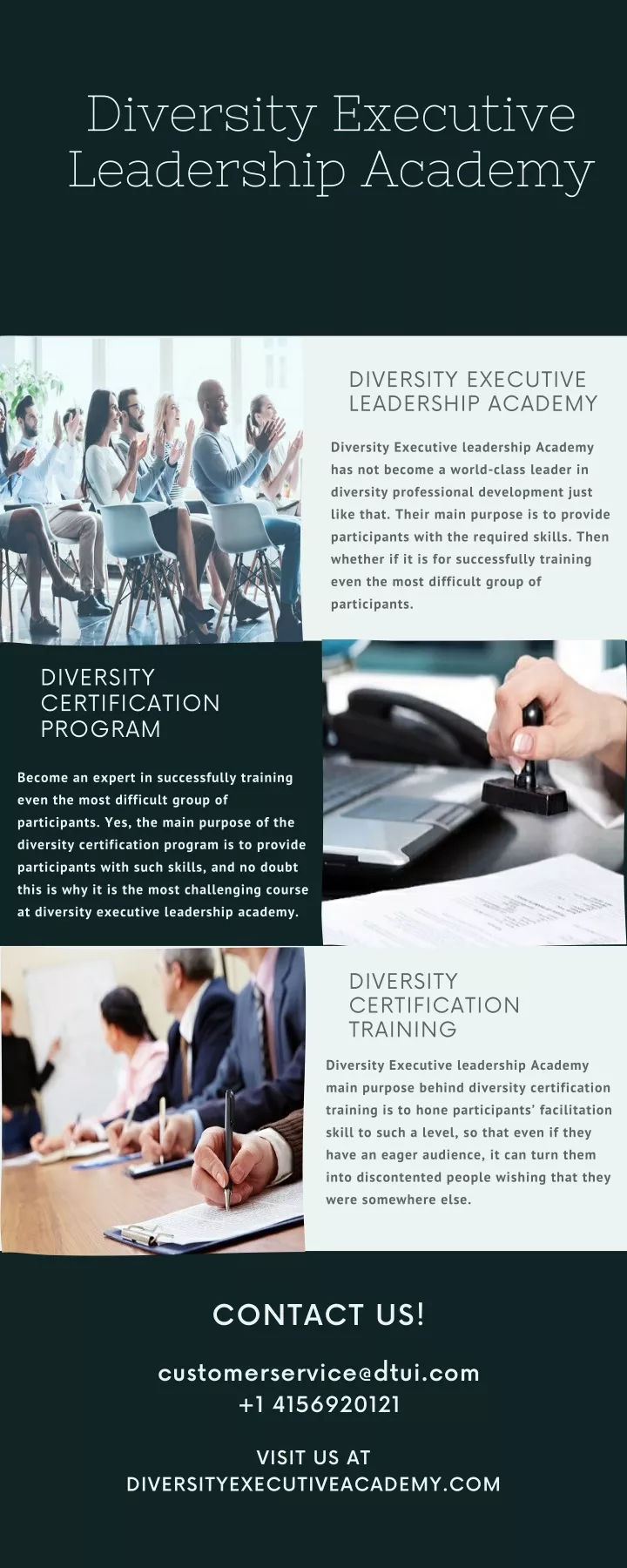 diversity executive leadership academy