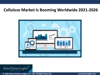 cellulose market is booming worldwide 2021 2026