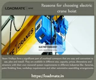 Reasons for choosing electric crane hoist