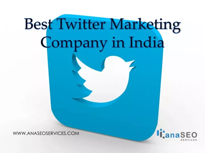 best twitter marketing company in india