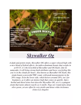 skywalker og