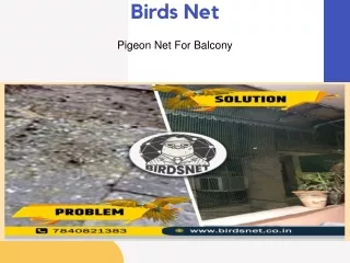 birds net